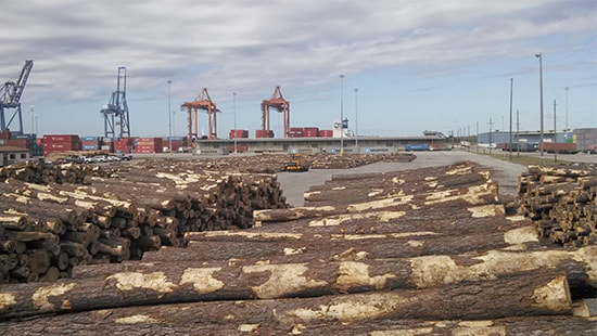 Logs at port